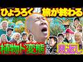 【ひょうろく旅】植物変態さんに恩返ししよう🌱万年青の変態さんが優しすぎる／変態植物倶楽部／毎週土曜19時更新 #ひょうろく#珍奇植物 #観葉植物 #万年青