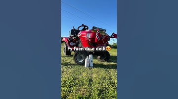 Thumbnail of Fy faen du e deili