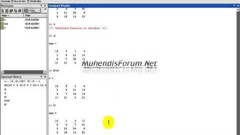 MATLAB Matris Transpose Diagonal