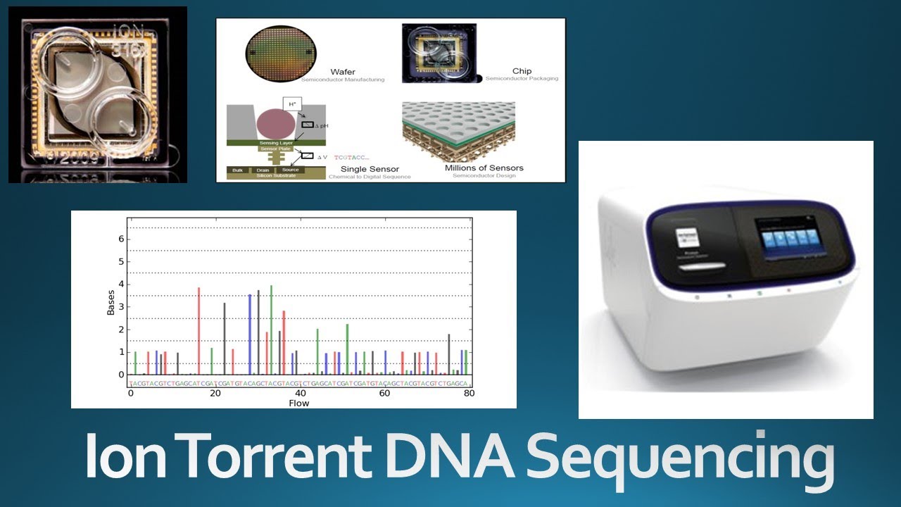 Us Patent Application Ion Semiconductor Dna Sequencing Ion Torrent DNA Sequencing: Technology, Principle, Advantages