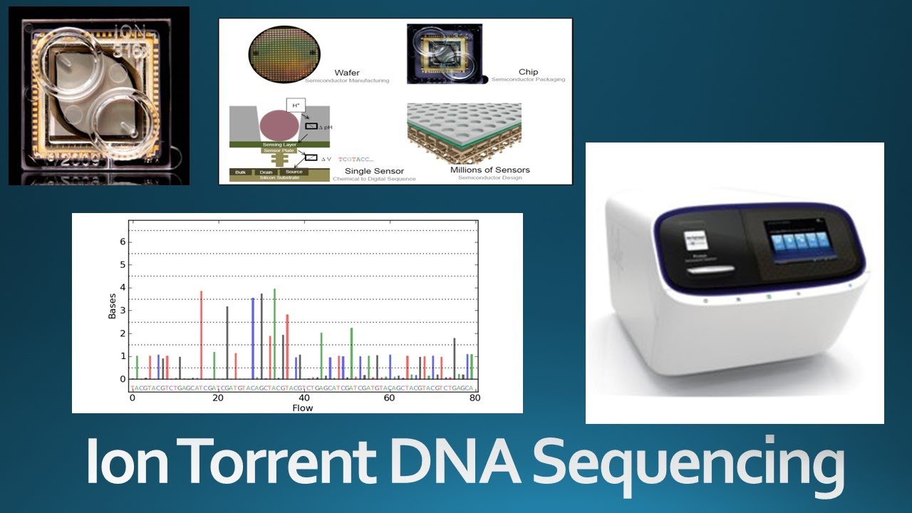 Ion Sequencing: Technology, Principle, Advantages & - YouTube