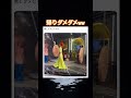 拍手適当で草 #shorts#tiktok#Twitter#おもしろ#お笑い#おすすめ#モデル #面白い#おもしろ動画#爆笑#バズれ