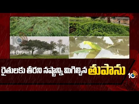 Heavy Rains | Montha Cyclone | రైతులకు తీరని నష్టాన్ని మిగిల్చిన తుపాను | 10TV News - 10TVNEWSTELUGU