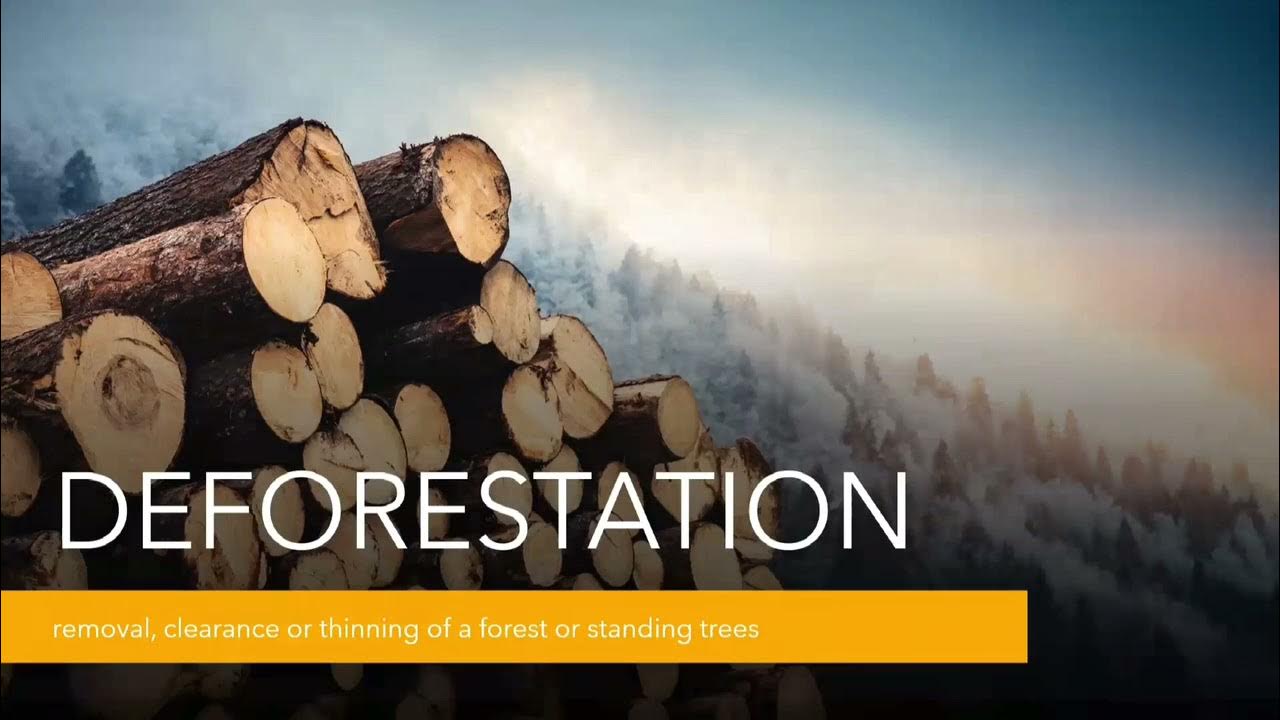 deforestation persuasive speech topics