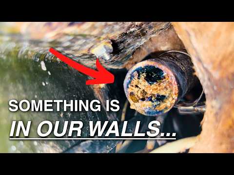 This Was the LAST Thing We Expected to Find… | (EP. 022)