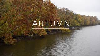 Stunning Fall Colors in Washington D.C.