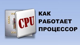 Как Работает Процессор