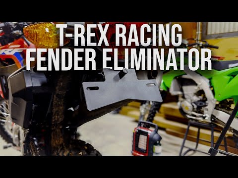 The BEST Fender