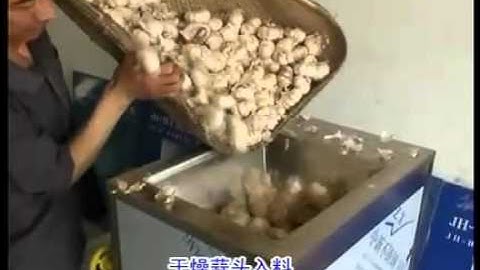 大蒜分瓣机/garlic separating machine