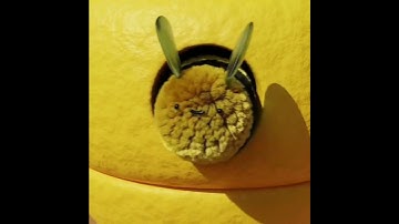 fluffy bee @NVIDIA Studio #animation #blender3d