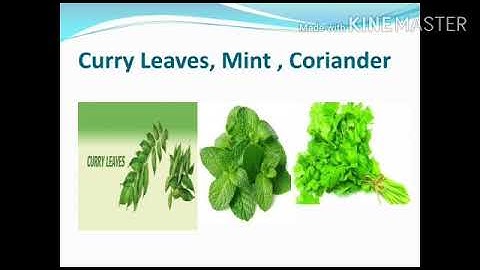 Class 3 Science Chapter 8 Part 3