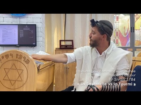 3MN DE TORAH POUR COMMENCER LA JOURNÉE - LA SAUTERELLE VS LA FOURMI 🦗 🐜
