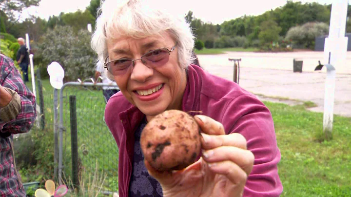 Chauncey Howell meets and greets a beet---and a lo...