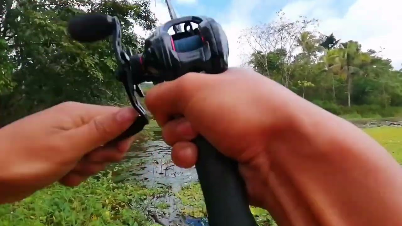 Snakehead hunting | Pamimingwit ng Dalag 