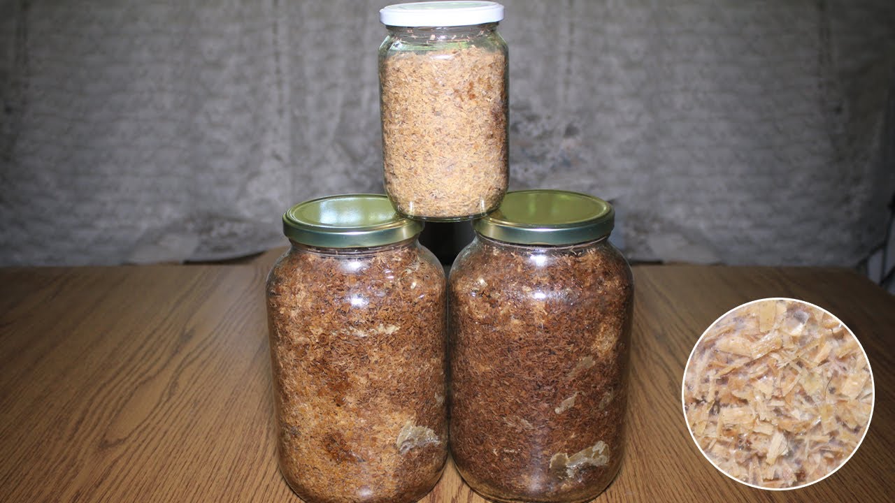 Priprema supstrata za bukovaču Sterilizacija supstrata i prebacivanje micelijuma bukovače sa kartona