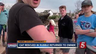 Missing Cat Rescued In Rubble After Tornado Returned To Owner