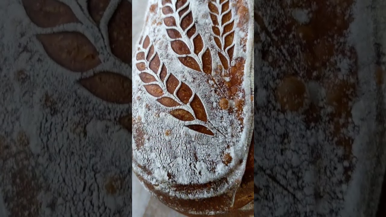 Sourdough. Almost over fermented dough, plus 42 hour cold retard, turned out OK.