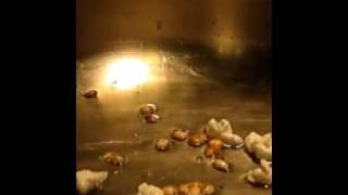 Slo-mo popcorn pop Canon SX40