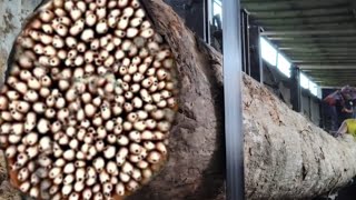 Unlucky Day || Wood Cutter Nearly Destroyed at Sawmill screenshot 2