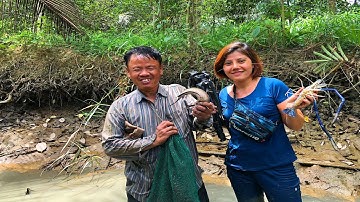 Cao Thủ Bắt Tôm Càng Xanh -ĐI Bắt Tôm Cá TRÚNG Mánh   GBMT tap 72