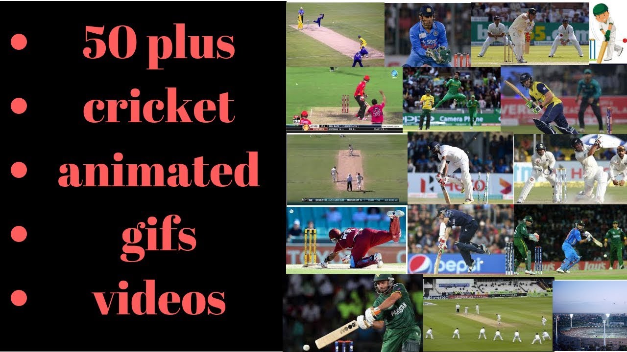 50+ cricket animated gifs videos 2018 in hd..........................................