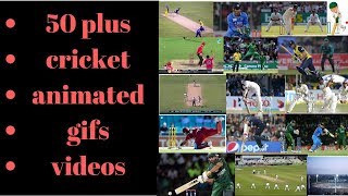 50+ cricket animated gifs videos 2018 in hd.......................................... screenshot 1