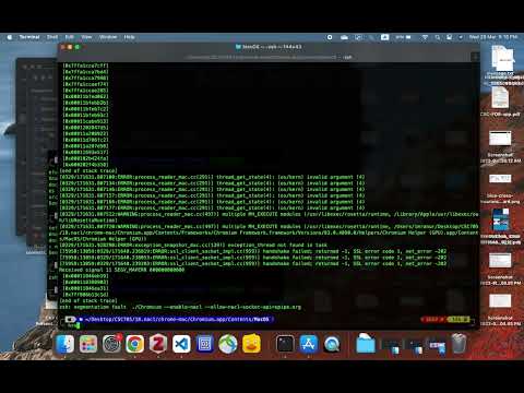 Google Native Client demo | NaCl