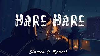 Hare Hare (Hum to dil se hare) - Lofi Song [Slowed \u0026 Reverb] | Tbeatzs 