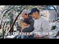 BLOOM UNDER THE SNOW /The morning light left us with true beauty / 春在一枝中 / 雪の下でただ今に咲く / OST