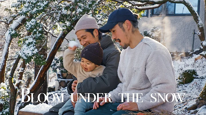 BLOOM UNDER THE SNOW /The morning light left us with true beauty / 春在一枝中 / 雪の下でただ今に咲く / OST - DayDayNews