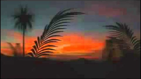 تلاوة عذبة بصوت الشيخ / محمد البخيت