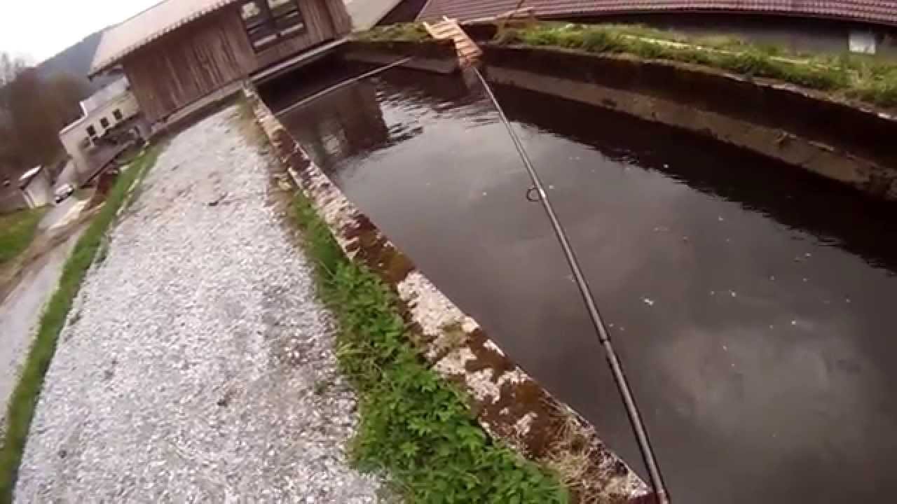 Youtube Fischen Youtube Fischen