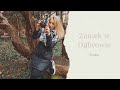 Интересные места Польши. Замок в Домброве/Zamek w Dąbrowie