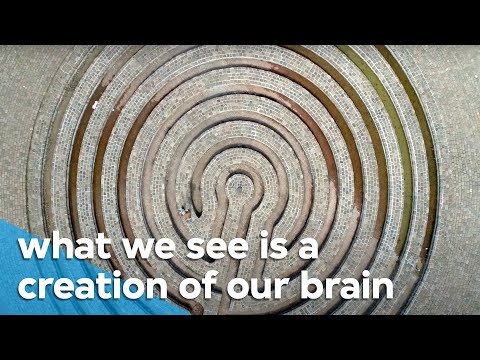 Our brain is