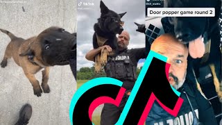 The Best K9 Police Dog TikTok Compilation | Dogs Of TikTok