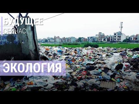 Экостартапы: удобрения из мочи и ресайклинг | БУДУЩЕЕ СЕЙЧАС