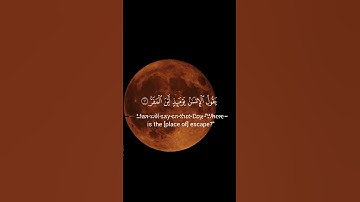 استمع إلى القرآن الكريم ❤️ 