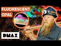 Rod and jc unearth valuable crystal opal while blacklight mining  opal hunters red dirt road trip