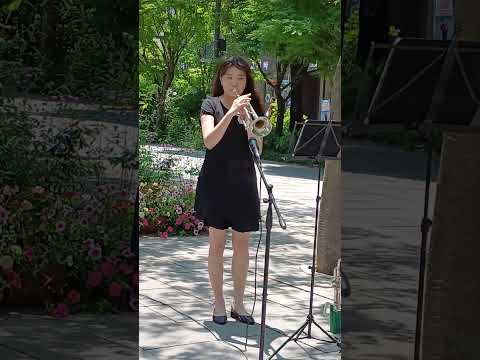 <strong>트럼펫</strong> 연주자 정현지 -  넬라판타지아 <strong>트럼펫</strong> 커버곡 - 서울거리공연 구석구석 라이브 #공연 #버스킹