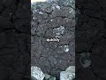 Igneous vs Metamorphic Rocks: What's the Difference?