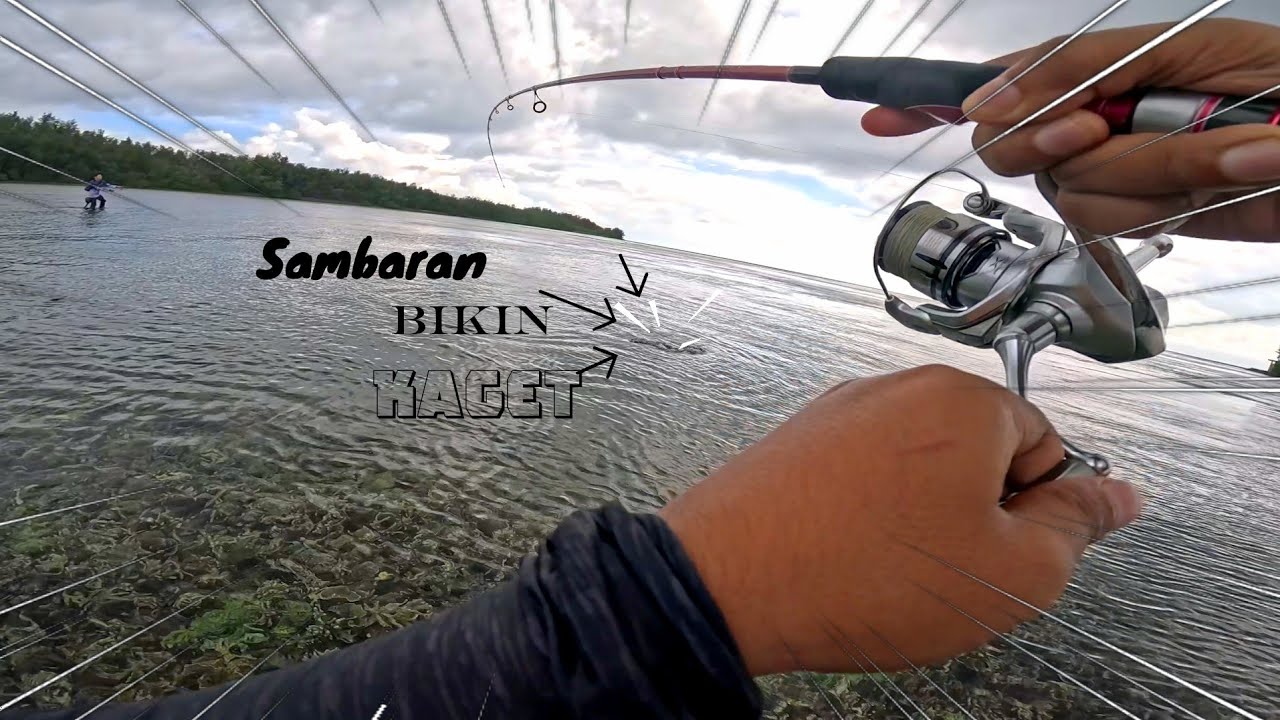 MANCING CASTING FULLL SAMBARAN ❗️❗️❗️ Pulau Panjang Kepulauan Seribu Tak Ada Lawan ⚠️