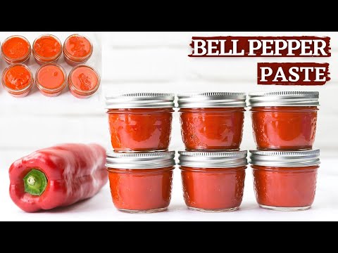 Red bell pepper paste || How to make red bell pepper paste || Paprika paste recipe