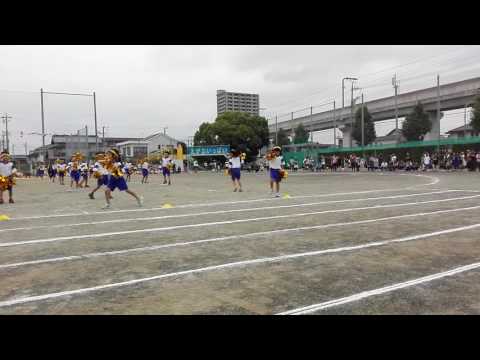 運動会 2016 05 28 ひ