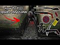 How to kill spider angelina granny update 18