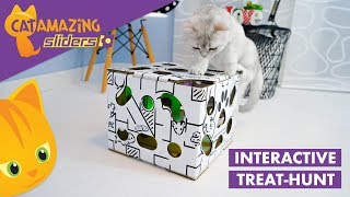Cat Amazing SLIDERS – Interactive Puzzle Feeder for Cats
