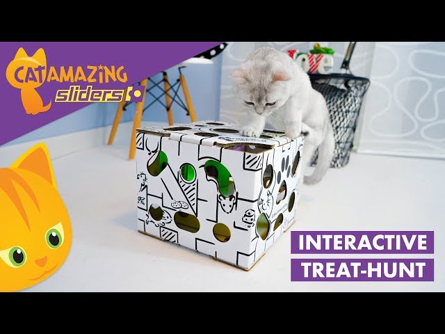 Cat Amazing Sliders - Interactive Treat Puzzle Cat Toy - Active Food Puzzle Feeder