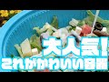 エフピコ新製品紹介／大人気のあの容器・・・ついに『DLV楕円新柄』