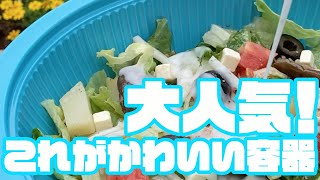 エフピコ新製品紹介／大人気のあの容器・・・ついに『DLV楕円新柄』