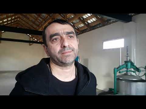 \"ვაშნარი\" ჩაის წარმოებას იწყებს