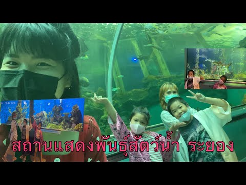 สถานแสดงพันธุ์สัตว์น้ำ ระยอง กรมประมง